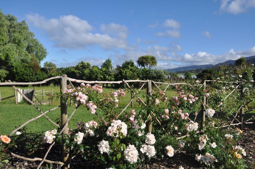Coromandel Jacaranda Lodge מראה חיצוני תמונה