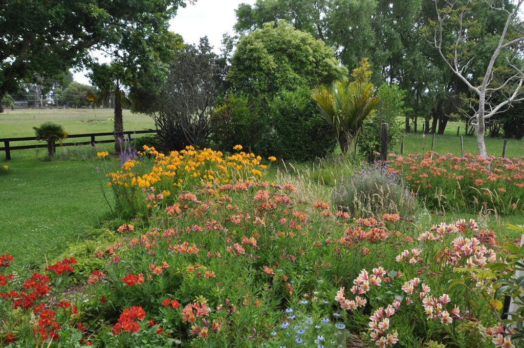 Coromandel Jacaranda Lodge מראה חיצוני תמונה