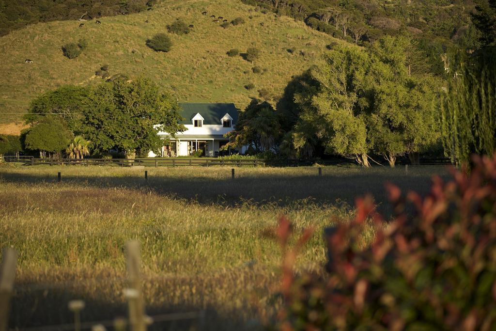 Coromandel Jacaranda Lodge מראה חיצוני תמונה