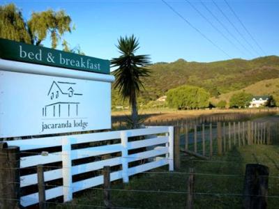 Coromandel Jacaranda Lodge מראה חיצוני תמונה