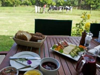 Coromandel Jacaranda Lodge מראה חיצוני תמונה